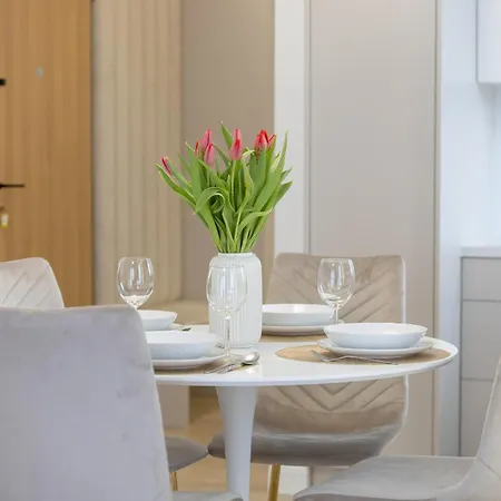 Stylish With Balcony 7th Floor By Renters Apartment